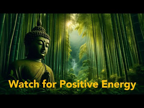 Buddha Flute Music for Positive Energy | Relaxation in a Bamboo Forest #positiveenergy