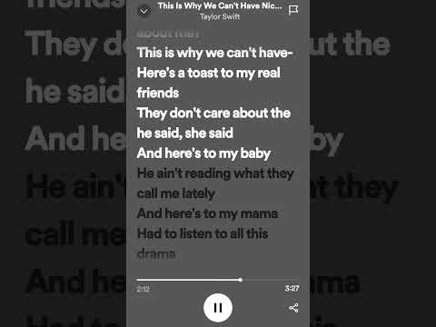 This is why we cant have nice things - Taylor swift #lyrics #fyp #taylorswift #spotify
