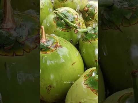 Coconut dessert #bukayo #coconut #buhayprobinsya #youtubeshorts