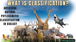 What is Classification? Artificial, Natural and Phylogenetic Classification in Biology with examples