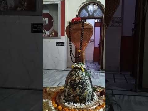 #tulsi #tulsivivah #shivmandir #sector7 #kurukshetra