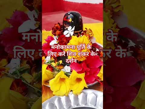 मनोकामना पूर्ति के लिए करें शिव शंकर के दर्शन#shortvideo #vairalvideo