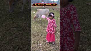 Titi Cow🐮K Ki Khete🍭Dilo?😱🤣 #shorts #funnyvideo #cow #trishikarimpa