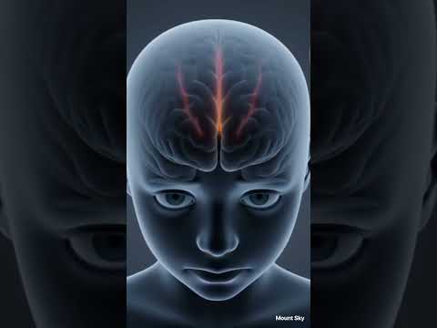 Chips Effects Inside the  Body3D Animation