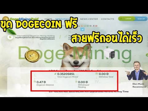 ขุด Dogecoin ฟรีด้วยมือถือ ฟรีก็ถอนได้ไม่ต้องลงทุน