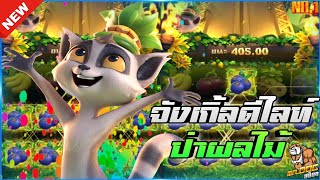 🎃SIAM66 Jungle Delight : PG SLOT สล็อตPG ป่าแห่งปิติ ฟีเจอร์คือดีย์💯
