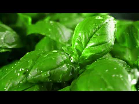 Global Water Healing Meditation Energetic Love Transmission with 963, 432, and 528 hz (vocals)