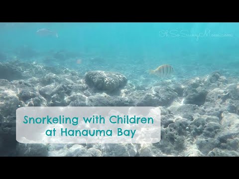 Snorkeling with Kids at Hanauma Bay