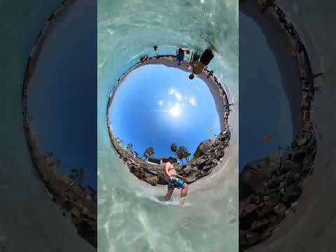 Insta 360 Tiny Planet Manual , totoralillo