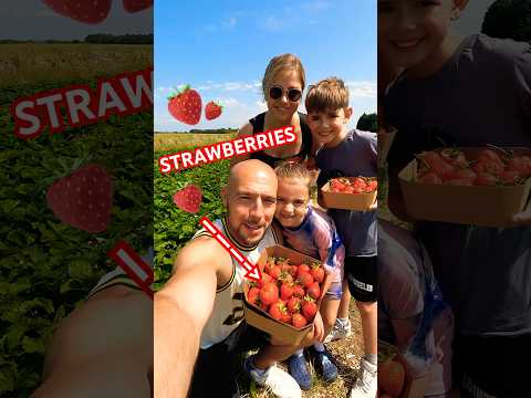 We Took the Kids Strawberry Picking… and THIS Happened 🍓#strawberrypicking