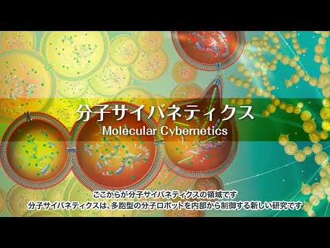 学術変革領域研究（A）分子サイバネティクス様