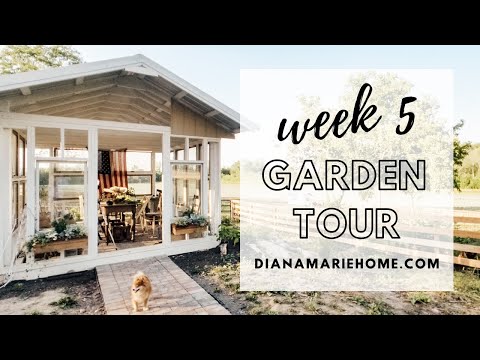 How to get FREE Tomato Plants | Garden Tour Week 5 | Diana Marie Home
