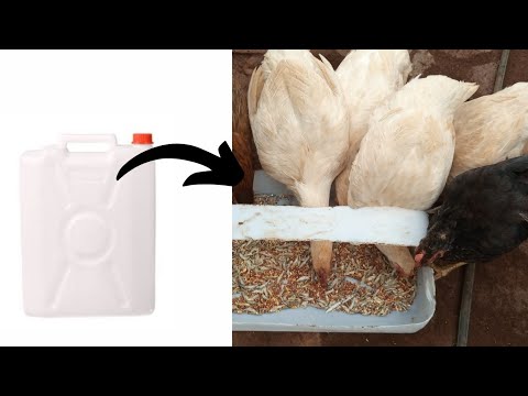 DIY chicken feeder from a Jerry can #poultryfarming #broiler #poultry