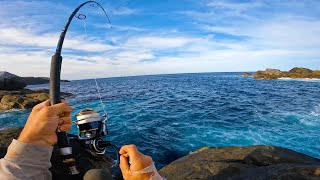 3 Days of BIG FISH MAYHEM!