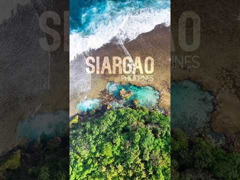 🏄‍♂️🌴 Siargao: Ride the Waves, Feel the Freedom #shorts #beachresort