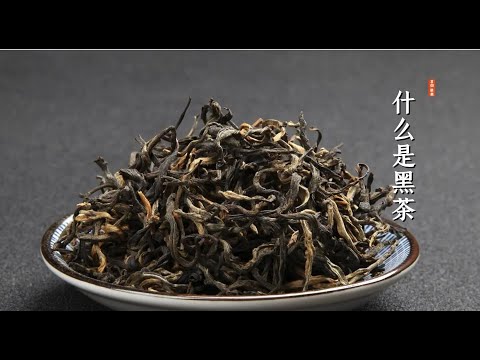 找茶 / 什麼是黑茶