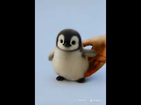 Don't touch my butt when I say hello#cute #adorable #pet #penguin #babyanimals #fluffy