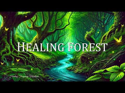 HEALING FOREST AMBIENCE | 639Hz + 741Hz Miracle Tones | Attract Love + Clear ALL Negative Energy #2