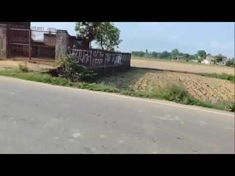 Mera khet hai dhan ki ruapi karni hai