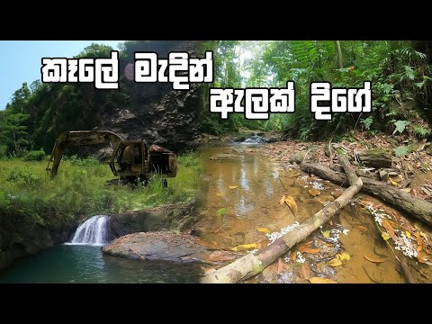 Hidden Jungle Adventure | Discovering a Secret Waterfall Through Stream Trails 🌿