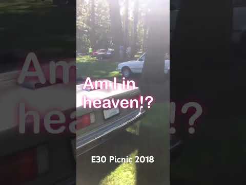 E30 PICNIC 2018 #bmw #e30 #convertible #pnw #washingtonstate #perfect #vintage #classic #timeless