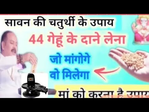 गेहू के दाने वाला उपाय होगी मनोकामना पूरी सावन चतुर्थी स्पेशल आज ही करें