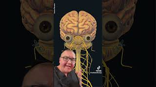 The fate of human remains in submersible implosions: an expert analysis#oceangate