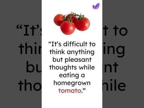 “It’s difficult to think anything but pleasant thoughts while eating a homegrown tomato.” #tomato