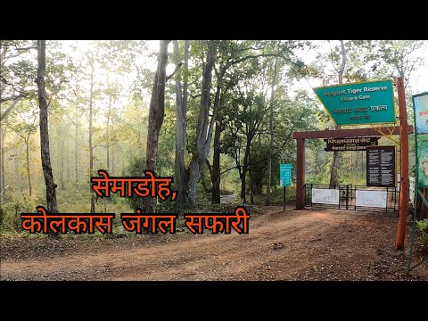 Semadoh Kolkas Jungal Safari | Melghat Jungal Safari