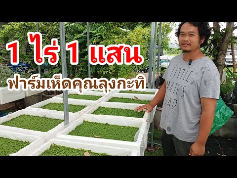 1 ไร่ 1 แสน ฟาร์มคุณลุงกะทิ