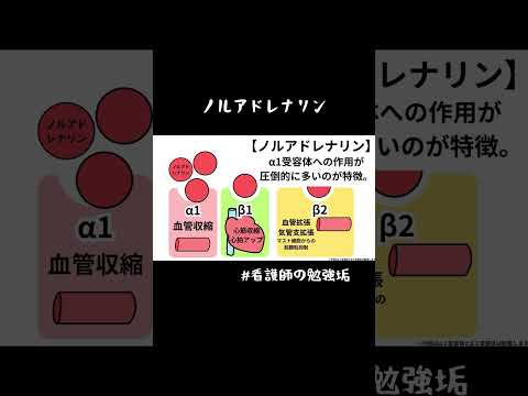 【看護師アニメ】ノルアドレナリン の勉強