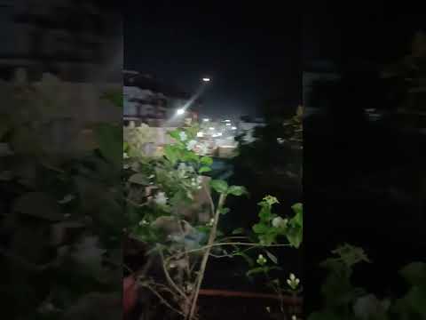 What a beautiful night view #shorts #moon #moonlight #fragrance #mogra