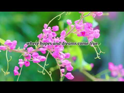 Heaven Knows By: Orange & Lemons [Lyrics]