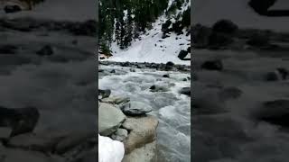 Life is all about exploring new places and exploring yourself..!! #Kashmir #incredibleindia #offers