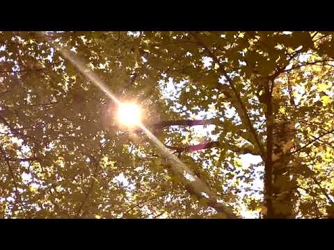 MarieCharlotte - Prendre sa place
