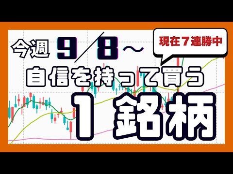 今週（9/8〜）専業が自信を持って買う1銘柄