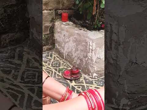 jai tulsi maiya🙏 || shorts youtube shorts || youtube viral shorts