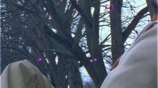 Thalapathy Vijay / love WhatsApp status
