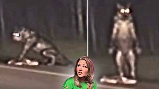 Unsettling CRYPTIDS & More Caught on Camera That Will Fracture Your REALITY (CREEPY Part 2)