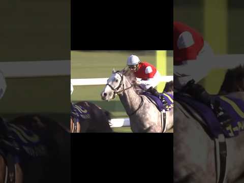 【競馬 MAD】ゴールドシップ 菊花賞 #ゴルシ #残響散歌 #かっこいい  #競馬