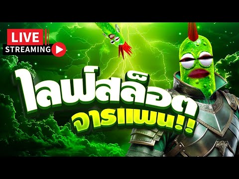 🟢 ไลฟ์สดสล็อต ไลฟ์สล็อต สล็อตสด LIVE SLOT จารแพนหัวดวย เกมไหนแตก !!