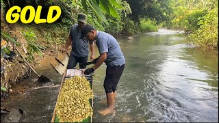 The best natural GOLD hunting in a stream #goldmines #gold #goldmining #goldrush #treasure #mining
