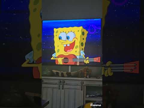 Campfire song spongebob reversed
