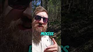 One of Victoria's Hidden Gold Sites #hidden #search #treasure #gold #mining #metaldetecting