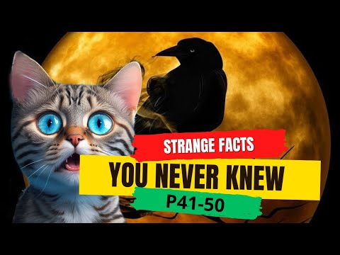Strange facts you never knew P.41-50 | Discovery Daze | Interesting And Weird Facts #facts #trending