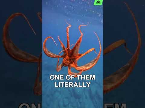 This Animal's Heart STOPS When It Moves! 😱