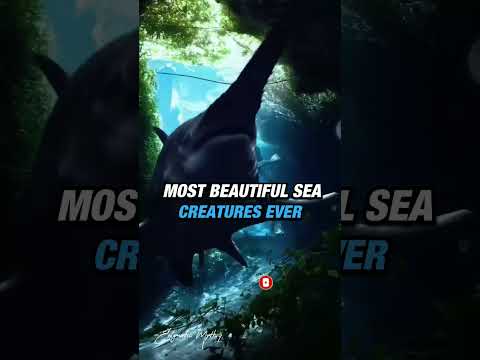 Most Beautiful Sea Creatures Ever [ Must Watch ] #shorts #seacreatures #beautifulcreatures #sea