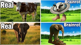 Funny Cow 🐄🆚 Saturnita Saturno 🐮 🪐🆚 Funny Elephant 🐘🆚 Lirili Larilla 🦣 🌵|| Real vs Brainrot 🧠💪