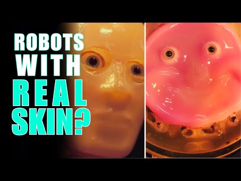 Living Skin on Robots The Future of Cyborg