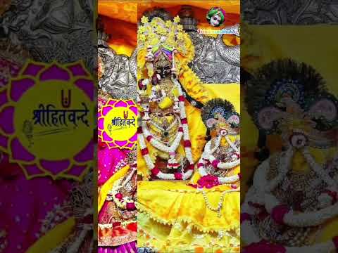 radha ballabh lal darshna #vrindavan_bhakti #shortsviral #trending #shorts